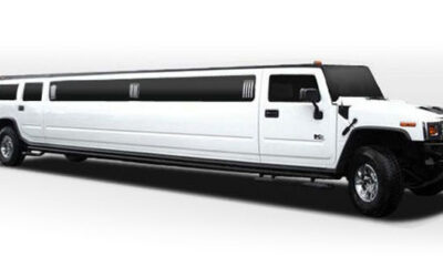 How Many Limousine Options Are Available to Me?