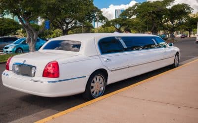 How Can I Make the Most of My Limo Rental Time?
