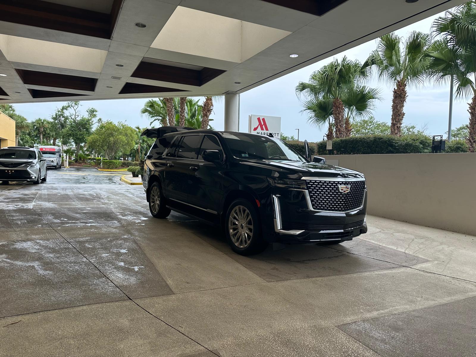 WhatsApp Image 2025-07-03 at 8.18.12 PM