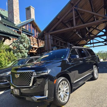 Disney Transportation