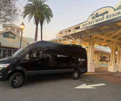 orlando-airport-to-disney-ultimate-town-car-sprinter-old-key-west-resort.jpg (1)
